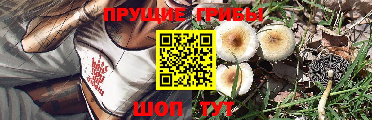Псилоцибиновые грибы GOLDEN TEACHER Белореченск